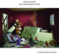 the album cover for Sonic Youth - Destroyed Room: B-Sides & Rarities [Import]