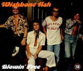 the album cover for Wishbone Ash - Blowin Free