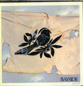 the album cover for Bayside - The Walking Wounded