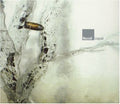the album cover for Recoil - Liquid [Import]