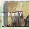 the album cover for Julie Miller - Blue Pony