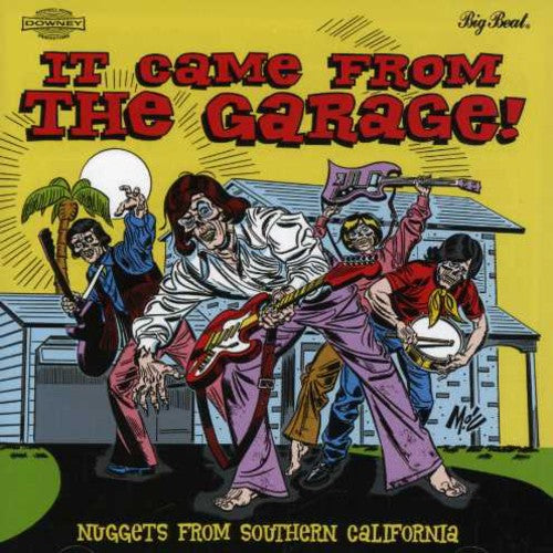 the album cover for It Came From The Garage! Nuggets From Southern Cal - It Came From The Garage! Nuggets From Southern Cal [Import]