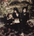 the album cover for CocoRosie  - The Adventures Of Ghosthorse and Stillborn