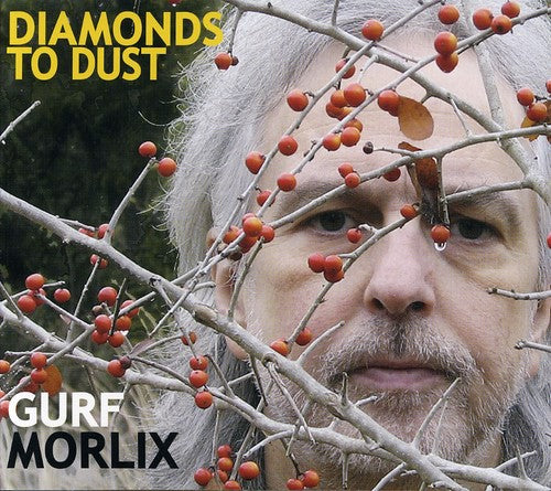 the album cover for Gurf Morlix - Diamonds to Dust