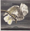 the album cover for Shearwater - Palo Santo