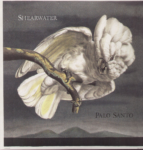 the album cover for Shearwater - Palo Santo