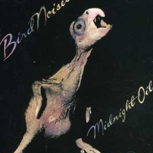the album cover for Midnight Oil - Bird Noises
