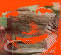 the album cover for Deerhunter - Fluorescent Grey EP