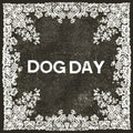 the album cover for Dog Day - Night Group
