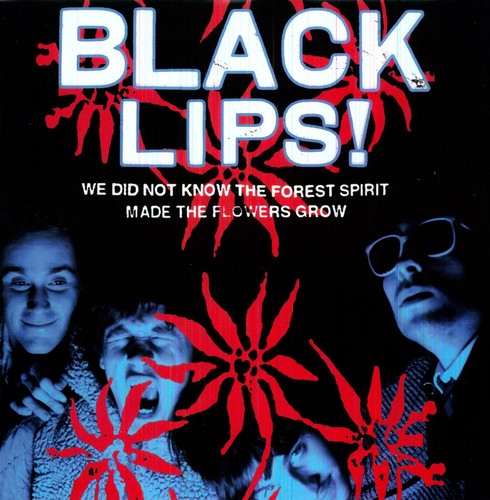 the album cover for The Black Lips - We Did Not Know the Forest Spirit Made the Flowers