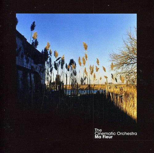 the album cover for Cinematic Orchestra - Ma Fleur [Import]