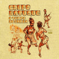 the album cover for Grupo Batuque - O Tempo Do Samba