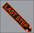 the album cover for Last Step - Last Step