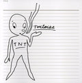 the album cover for Tortoise - TNT