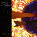 the album cover for Animal Collective - Peacebone
