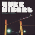 the album cover for Luke Vibert - Chicago Detroit Redruth