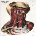 the album cover for Harlan Bobo T - I'm Your Man