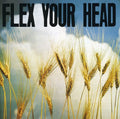 the album cover for Flex Your Head - Flex Your Head