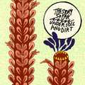 the album cover for The Story So Far - Under Soil and Dirt