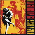 the album cover for Guns N' Roses - Use Your Illusion 1