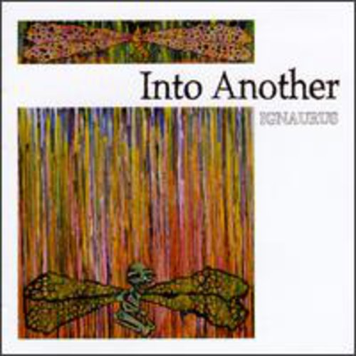 the album cover for Into Another - Ignaurus