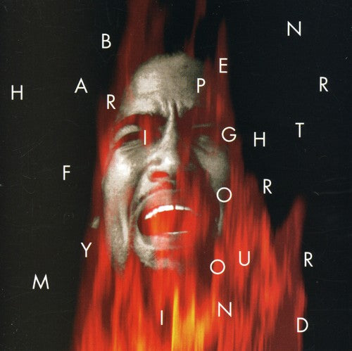 the album cover for Ben Harper - Fight for Your Mind