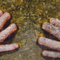 the album cover for Richard Youngs - Autumn Response