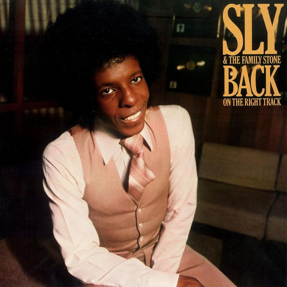 the album cover for Sly & The Family Stone - Back On The Right Track [Remastered]
