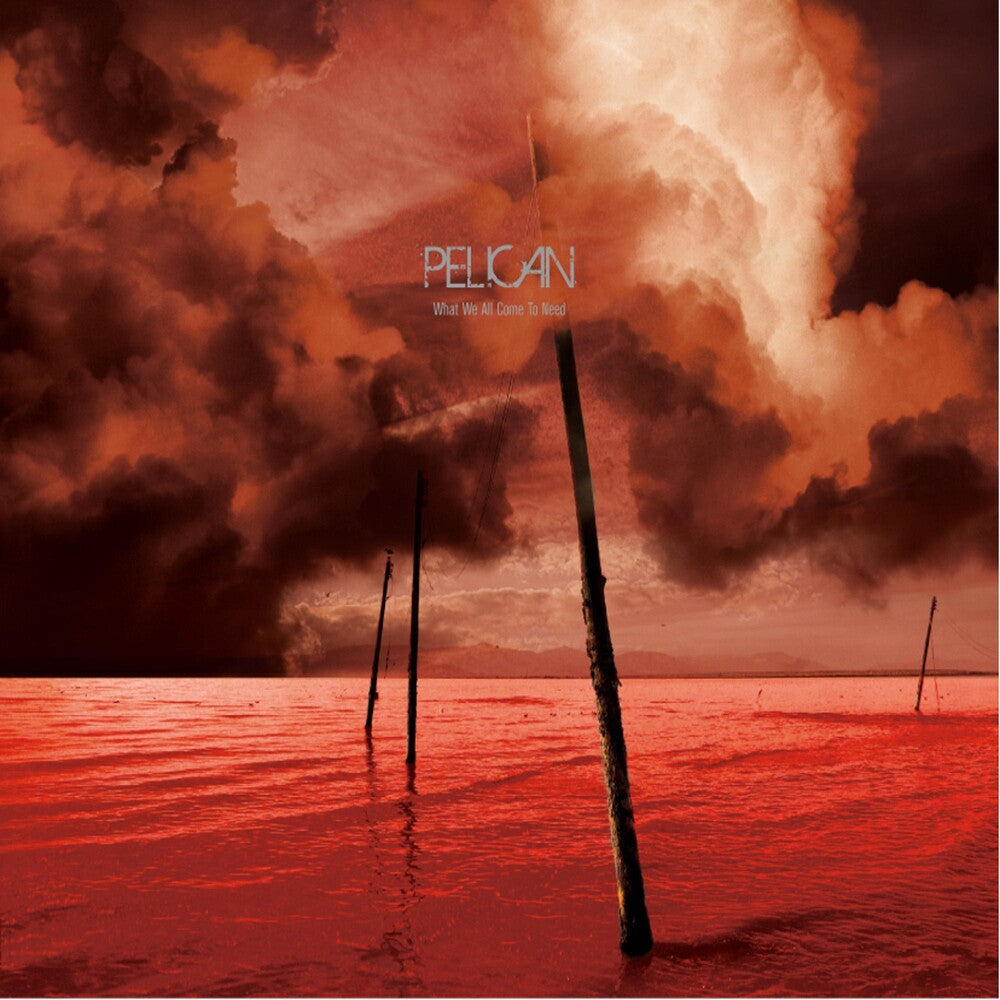 the album cover for Pelican - What We All Come to Need