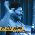 the album cover for Big Mama Thornton - Hound Dog: Essential Collection [Import]