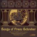 the album cover for Marcelo Quintanilha - Lieder