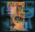 the album cover for The Fleshtones - Take a Good Look