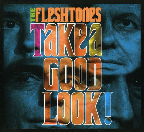 the album cover for The Fleshtones - Take a Good Look