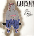 the album cover for Calexico - Feast of Wire