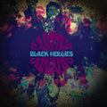 the album cover for Black Hollies - Casting Shadows