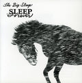 the album cover for Big Sleep - Sleep Forever