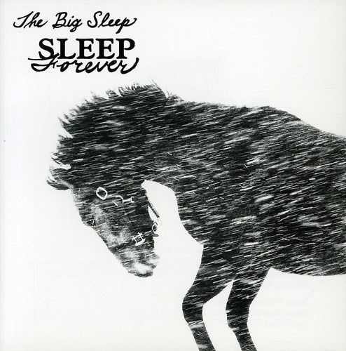 the album cover for Big Sleep - Sleep Forever