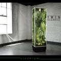 the album cover for Twin Atlantic - Vivarium