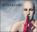 the album cover for Meshuggah - Obzen