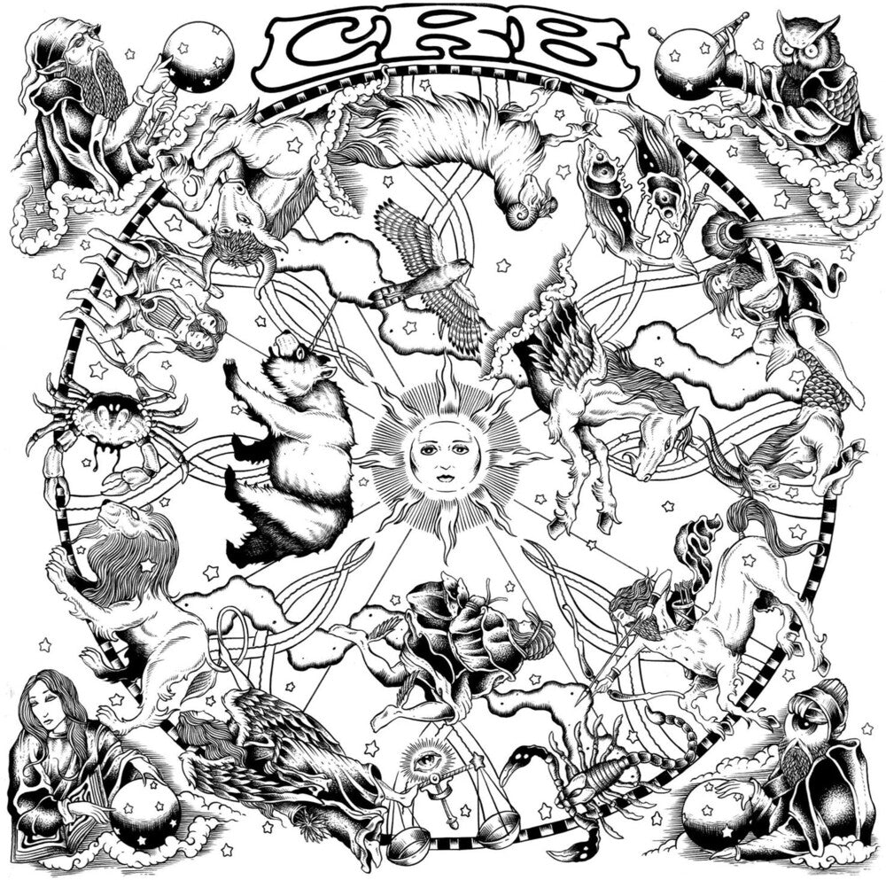 the album cover for Chris Robinson Brotherhood - The Magic Door