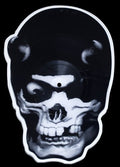 the album cover for Balzac - Skull Shaped Picture Disc [Limited Edition] (Pict)
