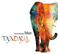 the album cover for Pathaan - Tandava, Vol. 2