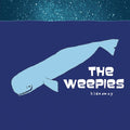 the album cover for The Weepies - Hideaway