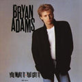 the album cover for Bryan Adams - You Want It You Got It