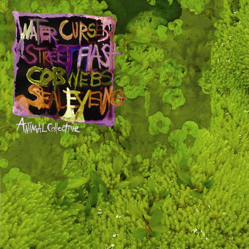the album cover for Animal Collective - Water Curses