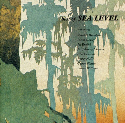 the album cover for Sea Level - Best of Sea Level