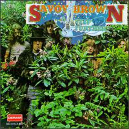 the album cover for Savoy Brown - Step Further