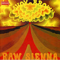 the album cover for Savoy Brown - Raw Sienna