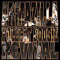 the album cover for Polecat Boogie Revival/Armazilla - Split
