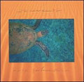 the album cover for Eric Johnson - Souvenir